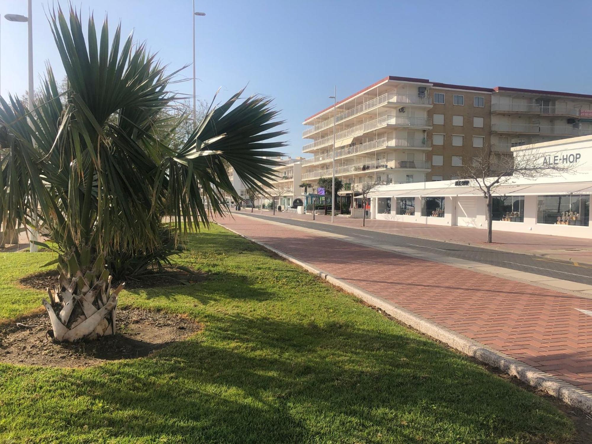 Апартаменти Playa De Gandia 1Ere Ligne El Galeon Екстер'єр фото